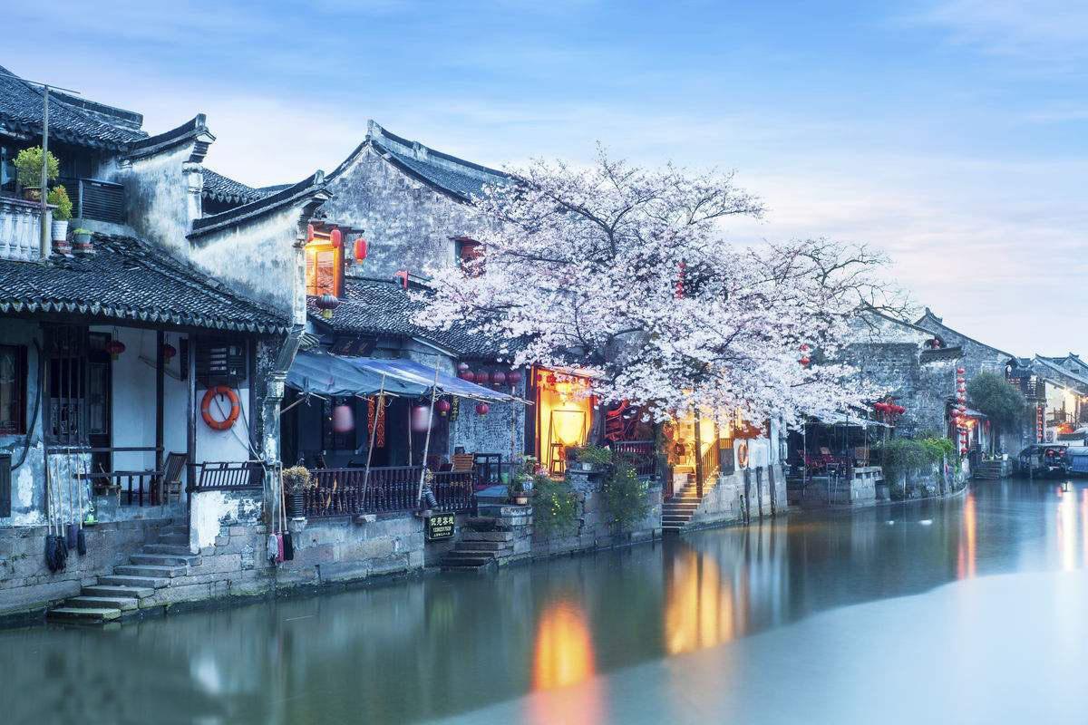 牛油果面包